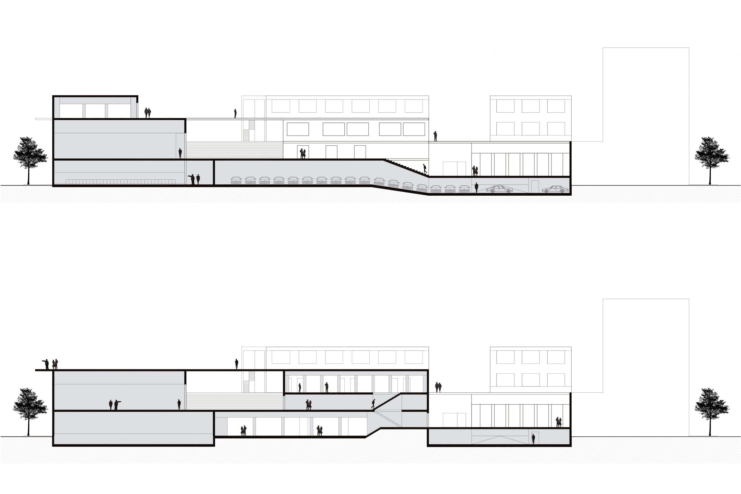 13/20 - LONGITUDINAL SECTIONS